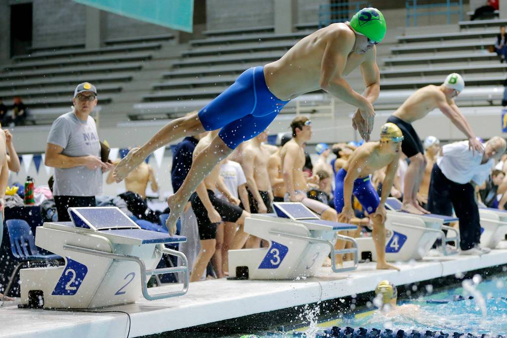 A Shorewood swimmer dives in in during the 200 yard freestyle relay consolation at the 3A WIAA Boys High School Swim and Dive Championships on Friday, Feb. 18, 2023, at the Weyerhaeuser King County Aquatic Center in Federal Way, Washington. (Ryan Berry / The Herald)