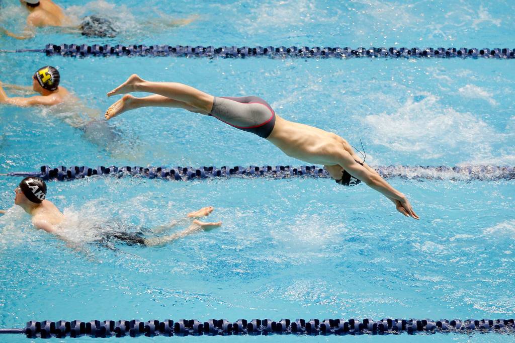 Lake Stevens freshman Sam Lamb dives in for his team during the 400 yard freestyle relay consolation at the 4A WIAA Boys High School Swim and Dive Championships on Friday, Feb. 18, 2023, at the Weyerhaeuser King County Aquatic Center in Federal Way, Washington. (Ryan Berry / The Herald)
