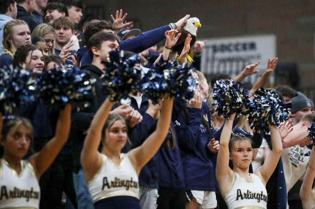 Arlington students cheer during a state playoff game against Walla Walla at Arlington High School on Saturday. Arlington won 68-57. (Annie Barker / The Herald)