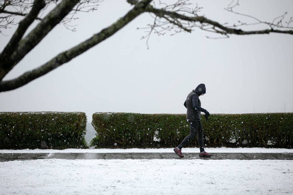 A pedestrian walks through Grand Avenue Park as a light snow comes down Tuesday, in Everett. (Ryan Berry / The Herald)