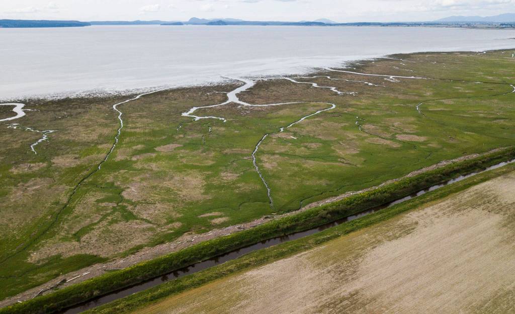 A stretch of the dike that runs along Skagit Bay on May 13, 2022 in Stanwood, Washington. (Olivia Vanni / The Herald)