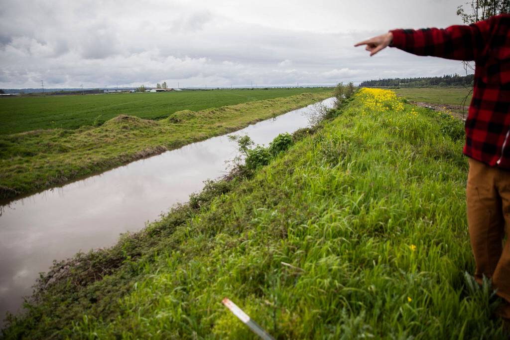 Tyler Breum points out toward his farmland that was underwater when a portion of the dike failed on May 6, 2022 in Stanwood, Washington. (Olivia Vanni / The Herald)