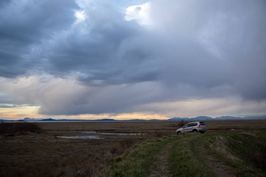 Water in Skagit Bay is hardly visible in the distance as seen from the dike that runs parallel to the bay on Tuesday, March 7, 2023, on the west end of Stanwood, Washington. During particularly high tides, the water from the bay can reach the dike and potentially break through. (Ryan Berry / The Herald)