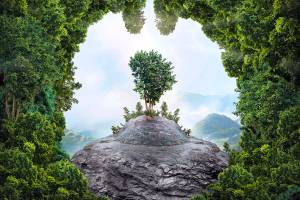 Abstract silhouette of lungs against the background of a dense forest. Trees are the lungs of the planet. Air purification. Mountains. Ecological concept.