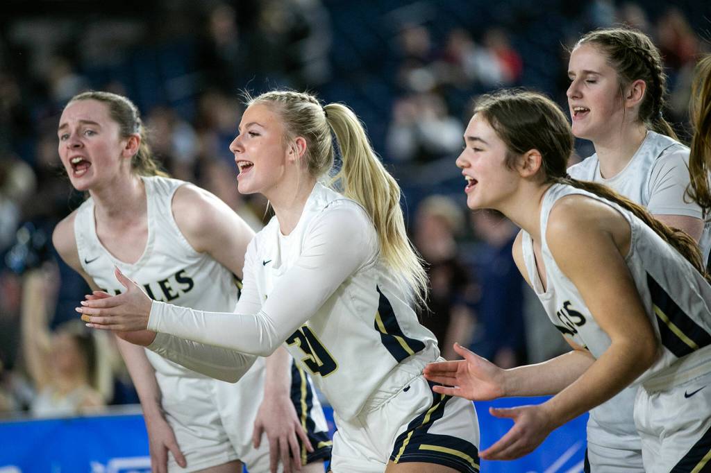 The Arlington bench cheers on their team as they try to keep pace with Lake Washington in the 3A semifinal on Friday, March 3, 2023, at the Tacoma Dome in Tacoma, Washington. (Ryan Berry / The Herald)
