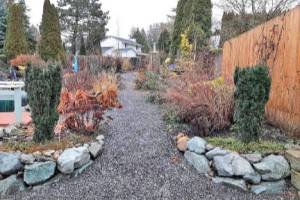 Steves garden in late winter. (Steve Smith)