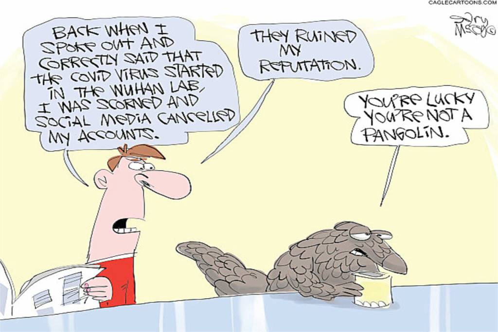 toon