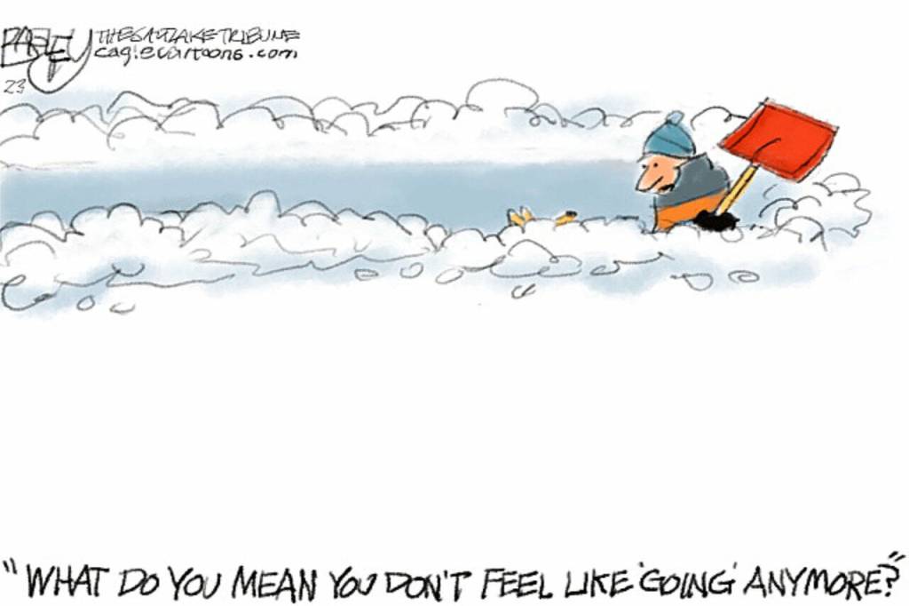 toon