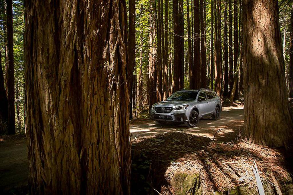 2023 Subaru Outback Wilderness (Subaru)