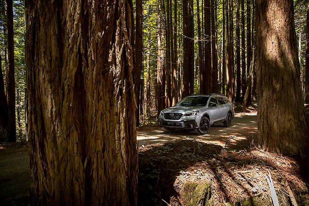 2023 Subaru Outback Wilderness (Subaru)
