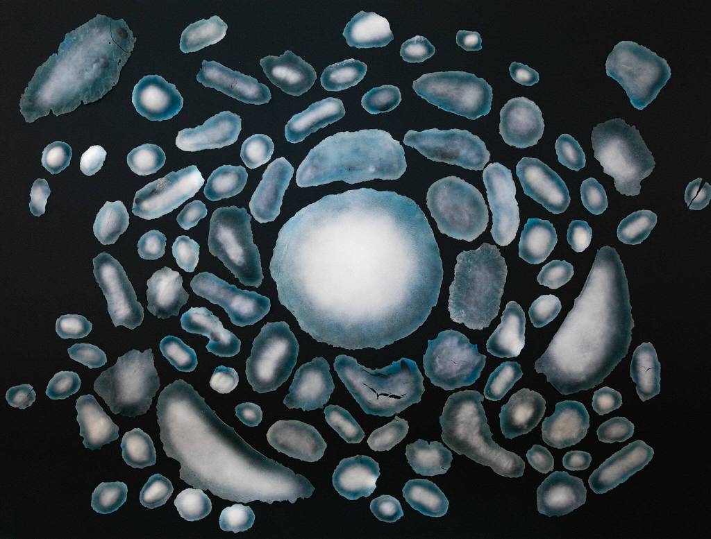 Cryosphere, a collaborative piece by artists Meg Holgate and Steve Klein, is positioned on a back wall during installation at Schack Art Center on Saturday, March 18, 2023, in Everett, Washington. (Ryan Berry / The Herald)