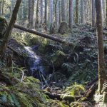 Sunlight hits the spray of a waterfall along the Heybrook Ridge Trail on Friday, March 18, 2023, in Index, Washington. (Kayla Dunn / The Herald).