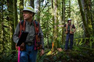 Department of Natural Resources regional manager Allen McGuire, left, and acting bolder unit forester Tyson Whiteid, right, stand next to marker on land recently purchased by the DNR for timber harvest on Wednesday, Sept. 25, 2019 in Gold Bar, Wash. (Olivia Vanni / The Herald)