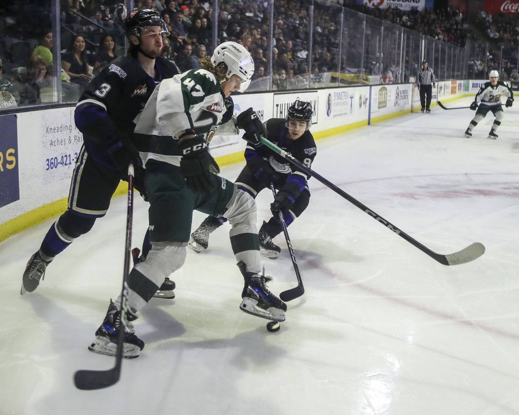 Silvertips Parker Hendren (47) fights to keep control of the puck during a game between the Everett Silvertips and Victoria Royals at the Angel of the Winds Arena on Friday, March 24, 2023. The Silvertips fell to the Royals, 6-4. (Annie Barker / The Herald)