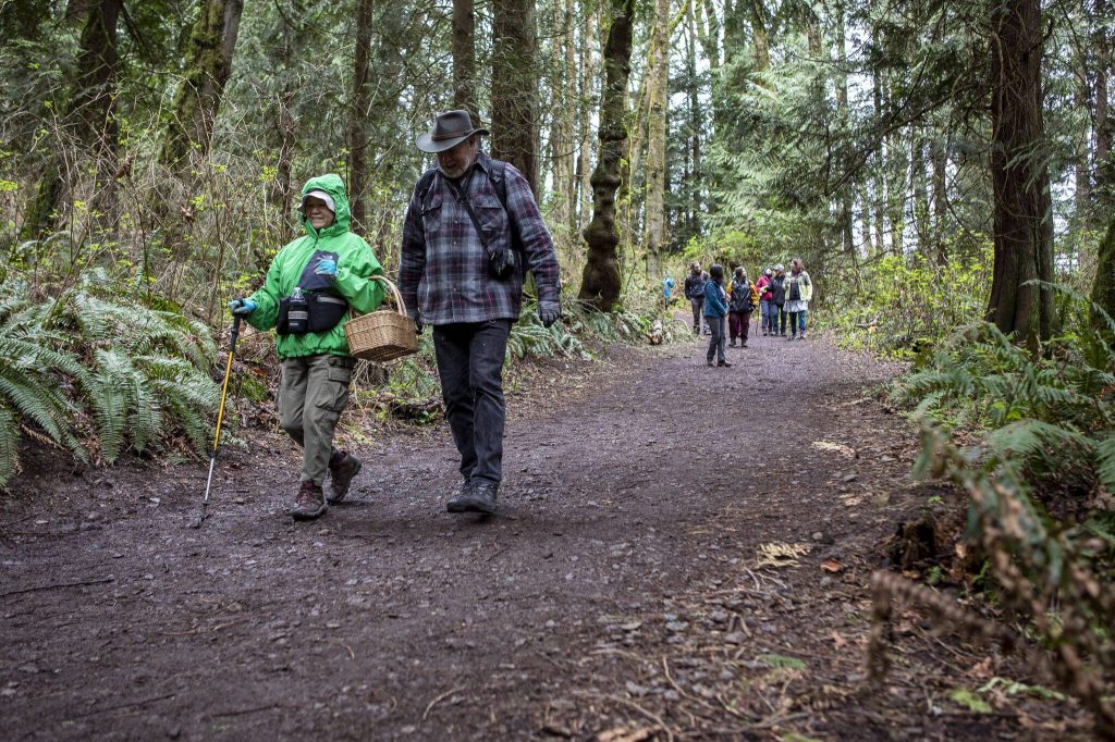 Members of the Snohomish County Mycological Society forage for mushrooms at Lord Hill Park on Saturday, April 8, 2023 in Snohomish, Washington. (Annie Barker / The Herald)