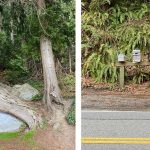 The Chuckanut Byway winds a narrow path between the Cascade Mountains and Bellingham Bay along the Washington coast. Amy Attas/West Coast Traveller photo.
