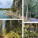 Use your metal detector while beachcombing at the shore, use your ebike or wheelchair on the Interurban Trail, hike, mountain bike or trail ride within Larrabee State Park on designated trails. Amy Attas/West Coast Traveller photo.