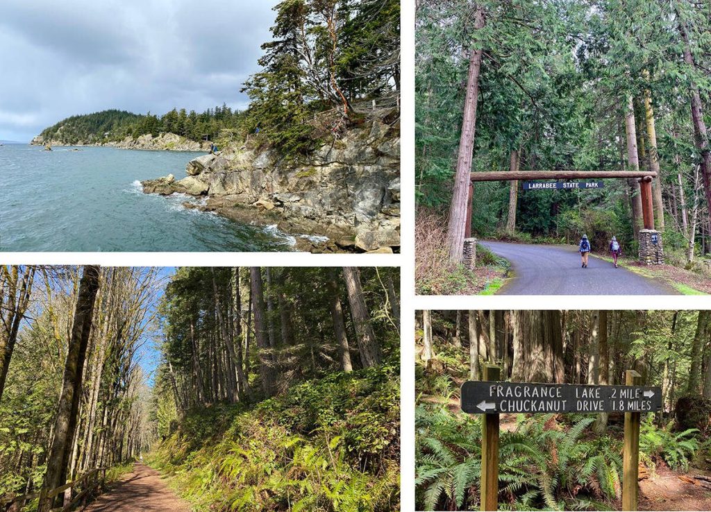 Use your metal detector while beachcombing at the shore, use your ebike or wheelchair on the Interurban Trail, hike, mountain bike or trail ride within Larrabee State Park on designated trails. Amy Attas/West Coast Traveller photo.