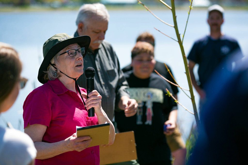 Diane Carlson of the Monroe Garden Club speaks about the Niobe Golden Weeping Willow being planted during an Arbor Day celebration at Lake Tye Park on Friday, April 28, 2023, in Monroe, Washington. (Ryan Berry / The Herald)