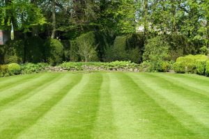 A well-maintained lawn can be a joy to behold. (Getty Images)