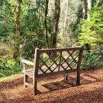 The two-hour walk through Bloedel Reserve on Bainbridge Island offers opportunity for inspiration and reflection. (Jennifer Bardsley)