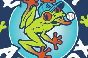 AquaSox no art.