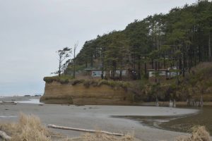 While one of the numerous perks of staying at Iron Springs Resort is easy beach access, it provides guests with a magnificent view of the cabins scattered on the cliff's edge. The orange hue of the cliff facade has spawned legends that Iron Springs was originally named so due to rich iron deposits in Copalis. (Allen Leister / The Daily World)