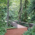 Located on Bainbridge Island, west of Seattle, the Bloedel Reserve is a 150-acre wonderland of forest and flowers, opened to the public in 1988.