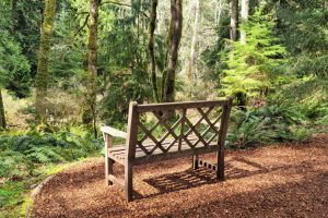 The two-hour walk through Bloedel Reserve on Bainbridge Island offers opportunity for inspiration and reflection. (Jennifer Bardsley)