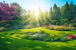 Whether leaves or flowers, you cant help but be uplifted when you are immersed in all the bright colors of a spring garden in bloom. (Getty images)