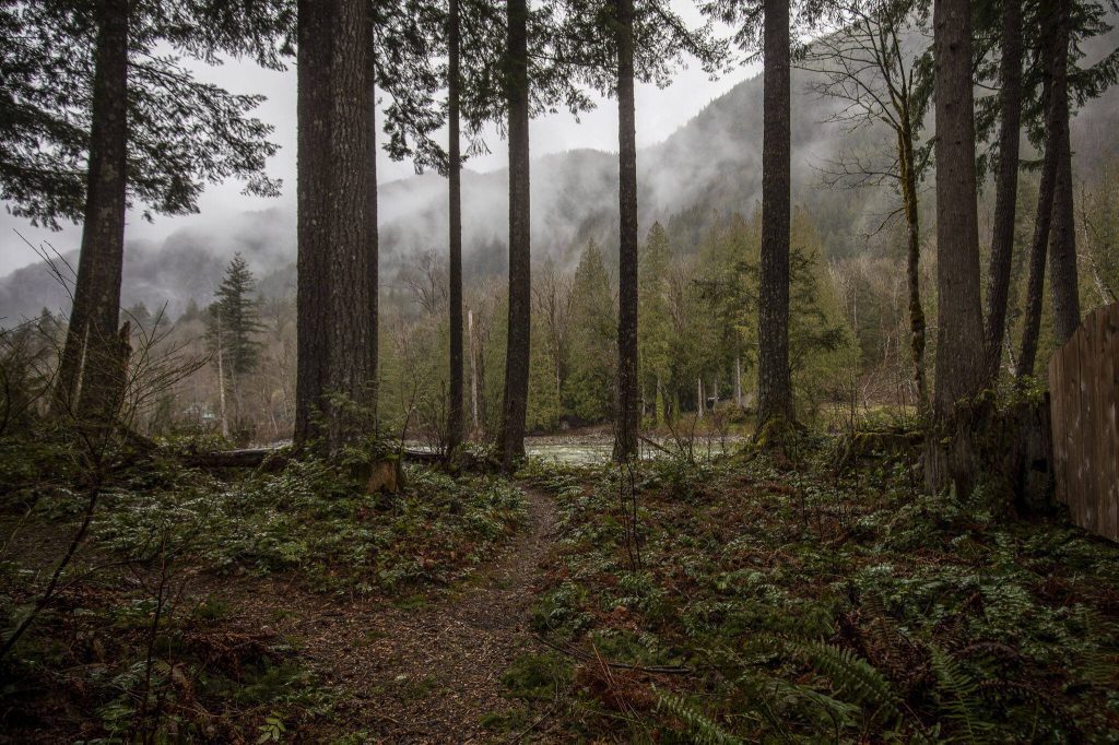 A view from the Index Cabins, which owners Nick and Nassim Pietsch nicknamed The Pietsch Pit  a reference not only to them but also to the 1990s TV show  Beverly Hills, 90210. (Annie Barker / The Herald)