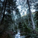 Snow covers a part of the hiking trail to Heather Lake on Wednesday, Dec. 5, 2018 in Granite Falls, Wa. (Olivia Vanni / The Herald)