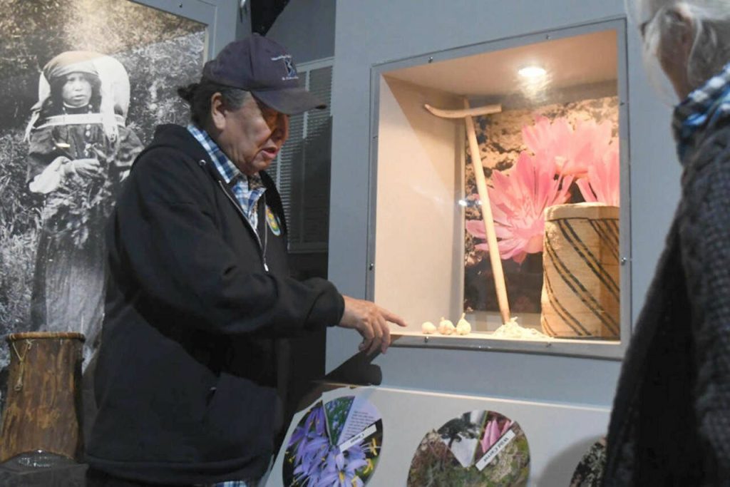 Lewis points to a display case featuring cxelusa bulbs, a hand-woven basket, and a traditional puca made of wood and a piece of antler at the Colville Tribal Museum in Grand Coulee. (Dominick Bonny / Crosscut)