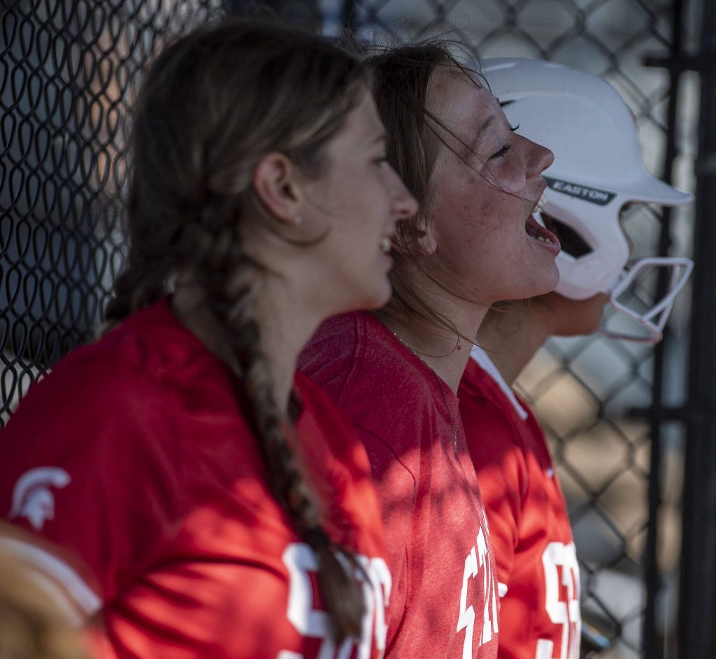 Stanwood players cheer during a game between Marysville Getchell and Stanwood at Phil Johnson Ballfields in Everett, Washington on Thursday, May 18, 2023. Stanwood won, 12-1. (Annie Barker / The Herald)