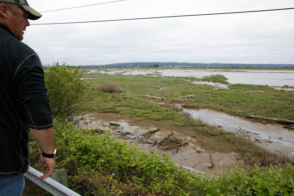 Casey Wright, major equipment and yard lead for Snohomish County PUD, looks out over the tidal flats between Stanwood and Camano Island in an area that new power lines are being installed Tuesday, May 30, 2023, in Camano, Washington. (Ryan Berry / The Herald)