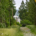 Route 532 connecting Stanwood to Camano Island is seen through a clearing made for incoming power lines Tuesday, May 30, 2023, in Camano, Washington. (Ryan Berry / The Herald)