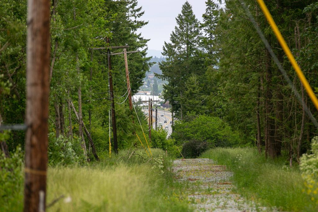 Route 532 connecting Stanwood to Camano Island is seen through a clearing made for incoming power lines Tuesday, May 30, 2023, in Camano, Washington. (Ryan Berry / The Herald)