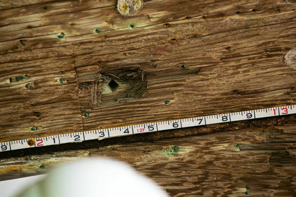 A tape measure is used to help meticulously document different details of the Equator on Wednesday, June 7, 2023, during a two-week survey of the vessel at its resting place in Everett, Washington. (Ryan Berry / The Herald)