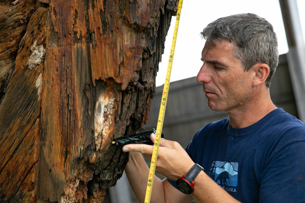 Piotr Bojakowski, an assistant professor with Texas A&Ms Nautical Archaeology Program, measures an angle on the stem of the Equator on Wednesday, June 7, 2023, during a two-week survey of the vessel at its resting place in Everett, Washington. (Ryan Berry / The Herald)