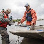 Brian Henrichs and Emily Howe begin sifting out the bugs from their bug trap along Port Susan on Monday, May 22, 2023 in Stanwood, Washington. (Olivia Vanni / The Herald)