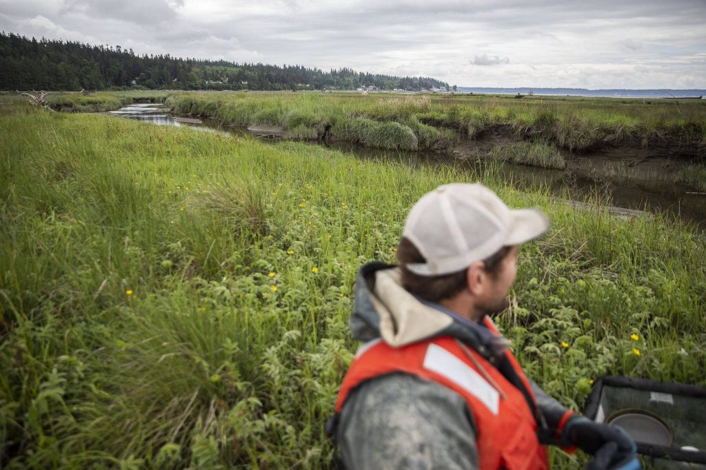 Brian Henrichs looks out over a natural channel along Port Susan on Monday, May 22, 2023 in Stanwood, Washington. (Olivia Vanni / The Herald)