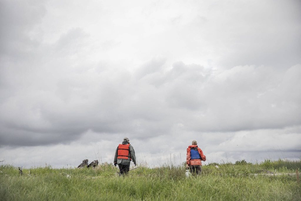 Brian Henrichs and Emily Howe walk up to one of their bug traps along Port Susan on Monday, May 22, 2023 in Stanwood, Washington. (Olivia Vanni / The Herald)