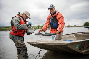 Brian Henrichs, left, and Emily Howe, right, begin sifting out the bugs from their bug trap along Port Susan on Monday, May 22, 2023 in Stanwood, Washington. (Olivia Vanni / The Herald)