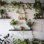 Tobis Tea in Lynnwood, Washington on Tuesday, May 30, 2023. (Annie Barker / The Herald)