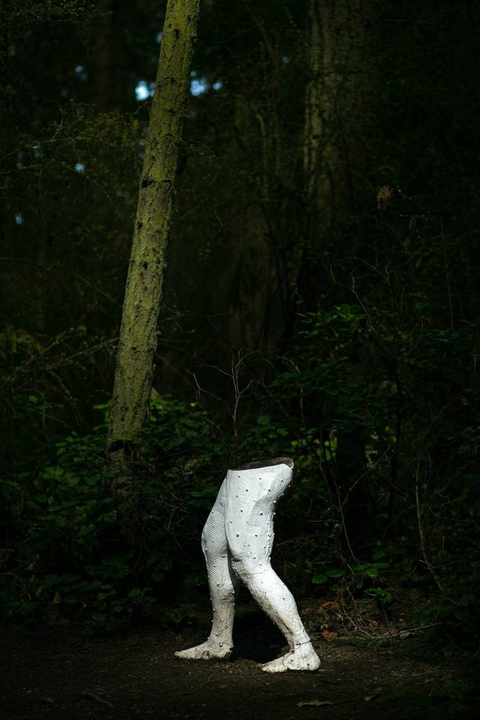 The Foundation of Animalia and Fungi by David DOstilio is illuminated by a sliver of sunlight at Price Sculpture Forest on Wednesday, April 5, 2023, in Coupeville, Washington. (Ryan Berry / The Herald)