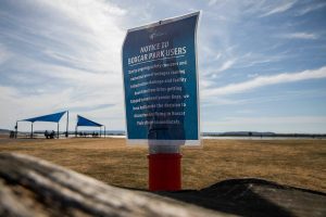 Multiple signs at Boxcar Park alert park users to a ban on kites at the park “effective immediately” on Wednesday, June 7, 2023 in Everett, Washington. (Olivia Vanni / The Herald)