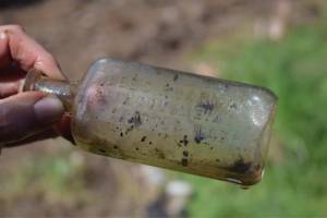 Photo by Patricia Guthrie   This old medicine bottle from Lee’s Pharmacy in Seattle was found in the dirt outside the log cabin.