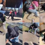 A collection of screenshots taken from Evergreen Middle School fight videos posted to social media.