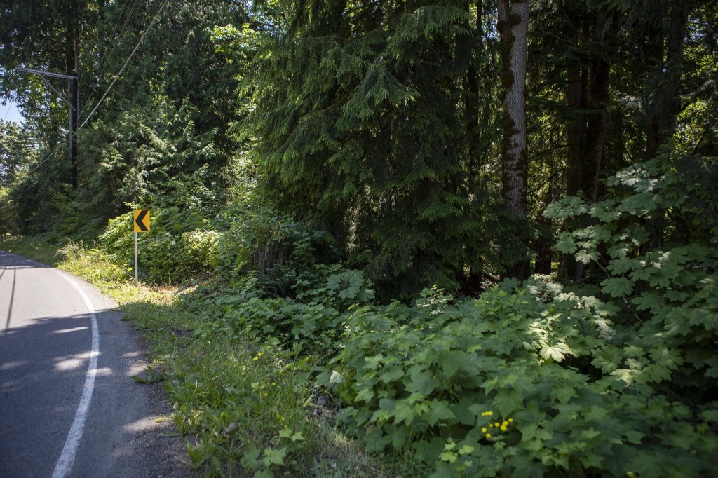 The site of a car crash involving the death of Szander Pouv near the corners of 215th Avenue SE and 108th Street SE north of Monroe, Washington on Thursday, June 29, 2023. (Annie Barker / The Herald)
