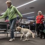 Kim Rosales sets their items on the security belt and moves forward in line with their service animal Sabrina to practice going through TSA at Paine Field in Everett, Washington on Saturday, June 24, 2023. (Annie Barker / The Herald)
